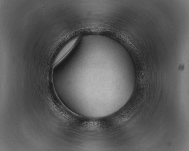 X0000088850639200706291456