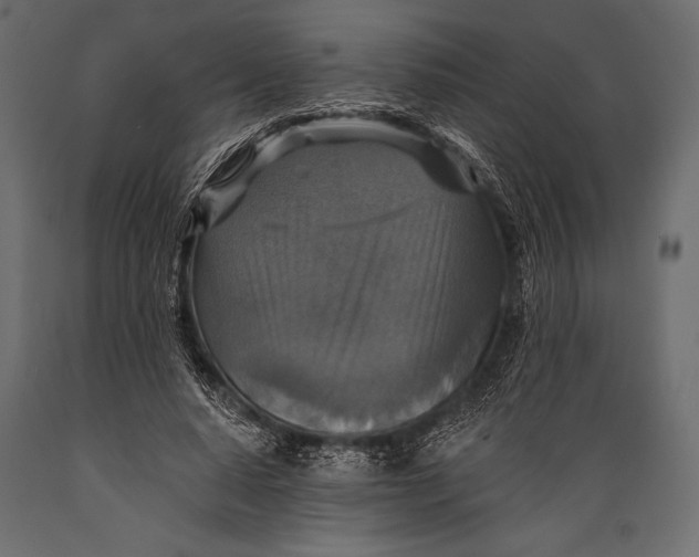 X0000088850640200706291456