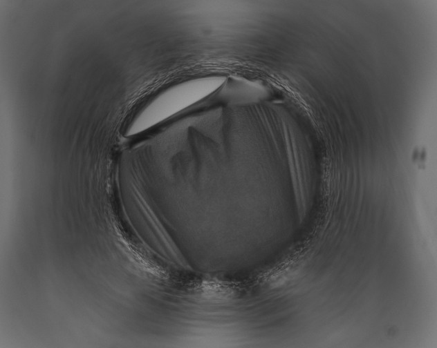 X0000088850641200706291456