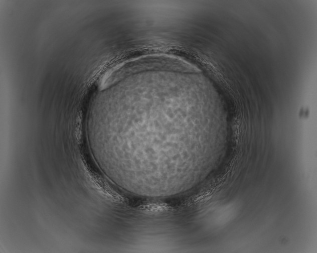 X0000088850642200706291456