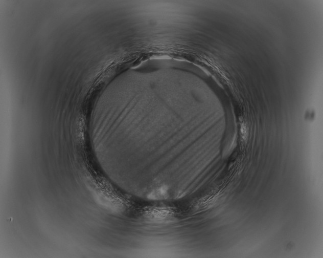 X0000088850643200706291456