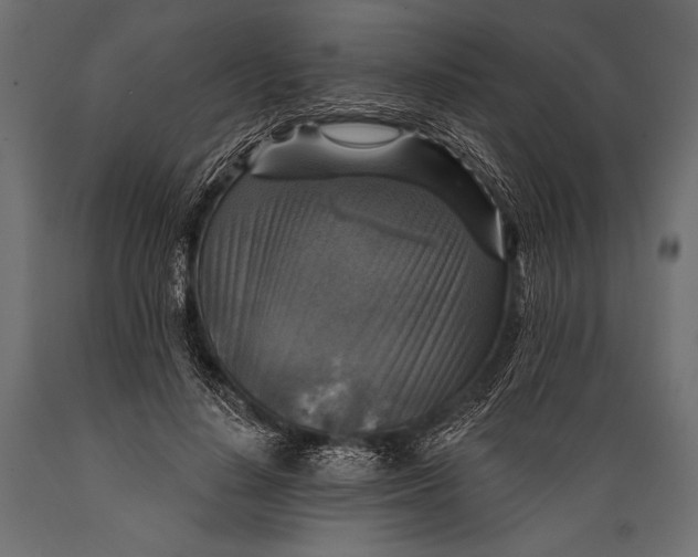 X0000088850644200706291456