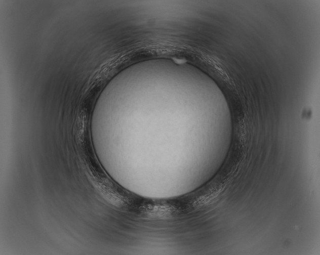 X0000088850645200706291456