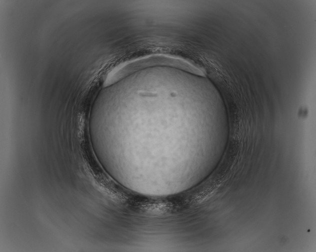 X0000088850646200706291456