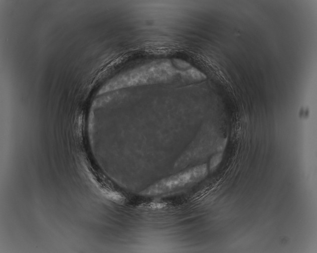 X0000088850647200706291456