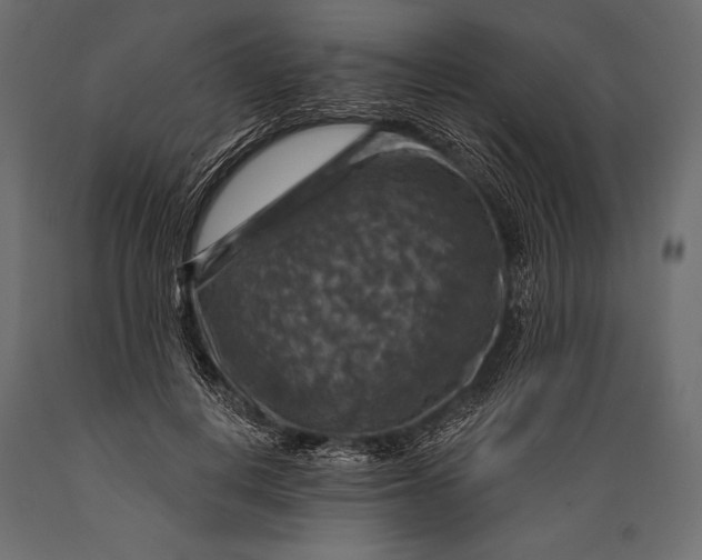 X0000088850648200706291456