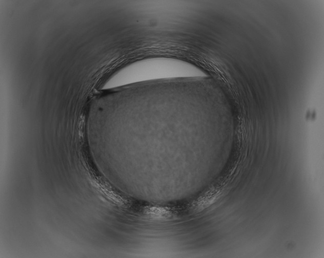 X0000088850649200706291456