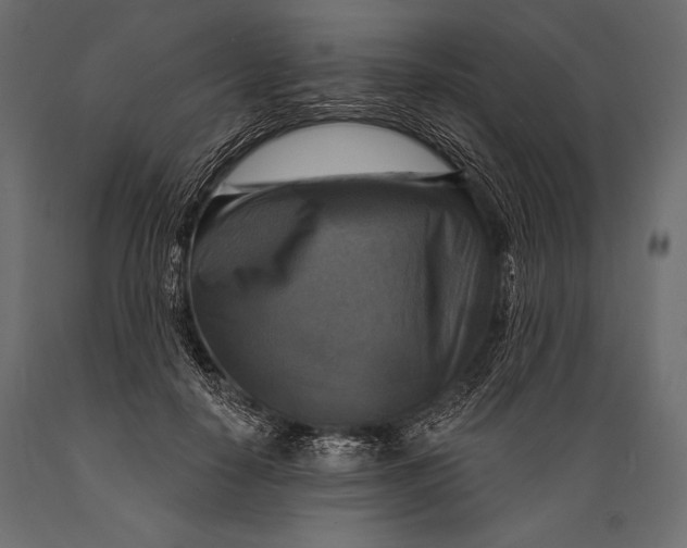 X0000088850650200706291456