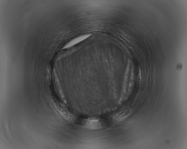 X0000088850651200706291456