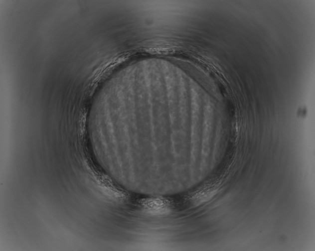 X0000088850652200706291456