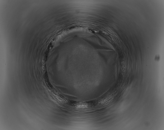 X0000088850653200706291456