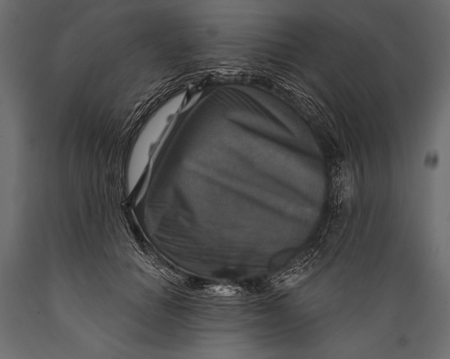 X0000088850654200706291456