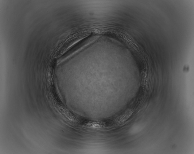 X0000088850655200706291456