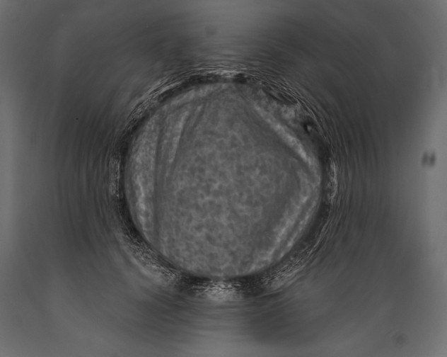 X0000088850656200706291456