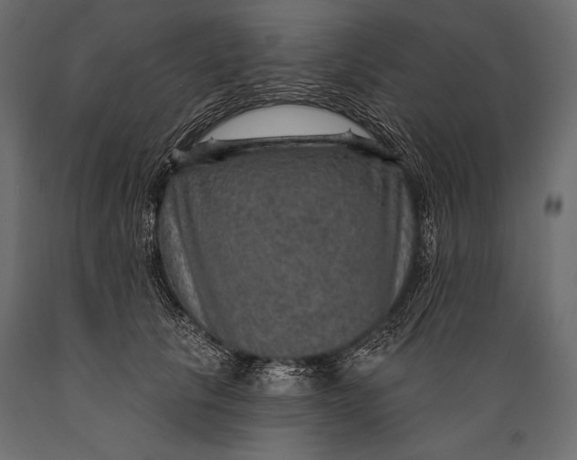 X0000088850657200706291456