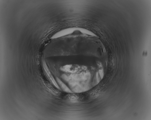 X0000088850658200706291456