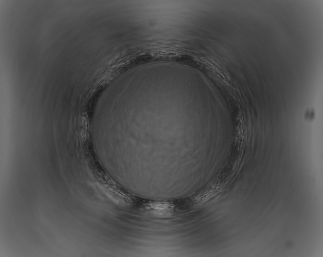 X0000088850659200706291456