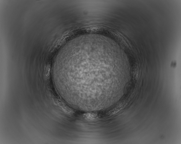 X0000088850660200706291456