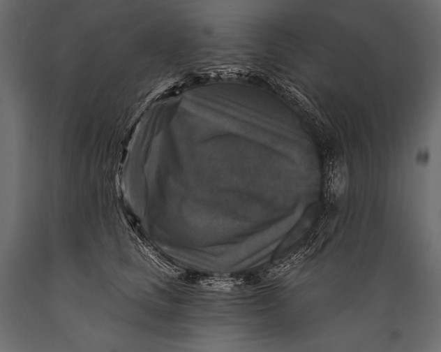 X0000088850661200706291456