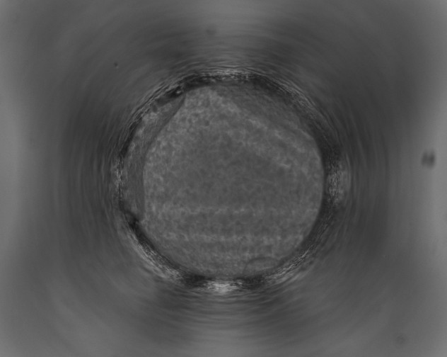 X0000088850662200706291456