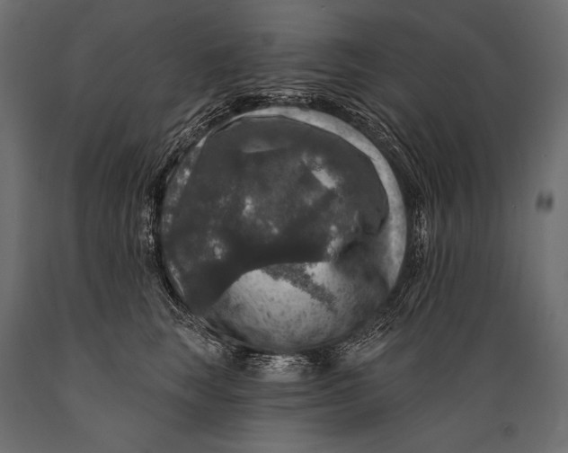 X0000088850663200706291456