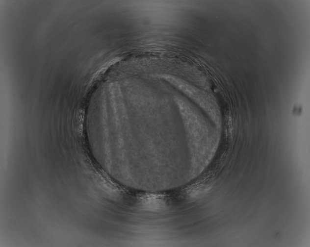 X0000088850664200706291456