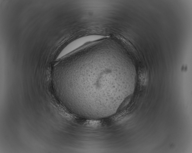 X0000088850665200706291456