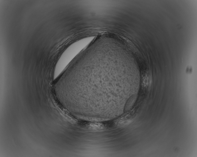 X0000088850666200706291456