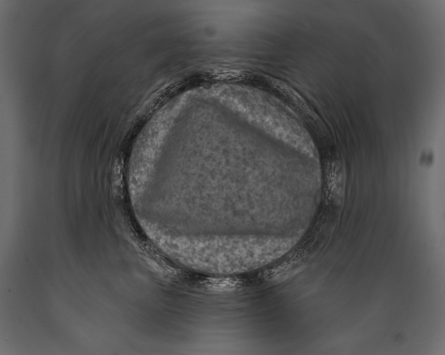 X0000088850667200706291456