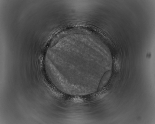 X0000088850668200706291456