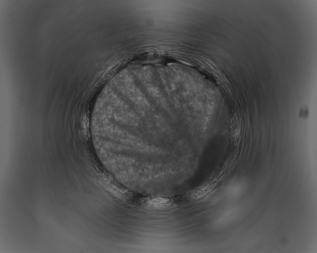 X0000088850669200706291456