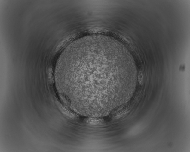 X0000088850670200706291456