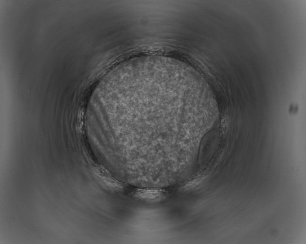 X0000088850671200706291456