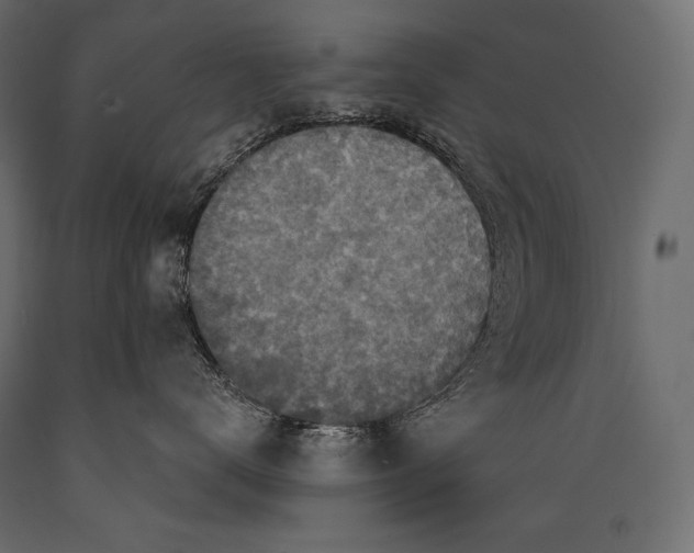 X0000088850672200706291456