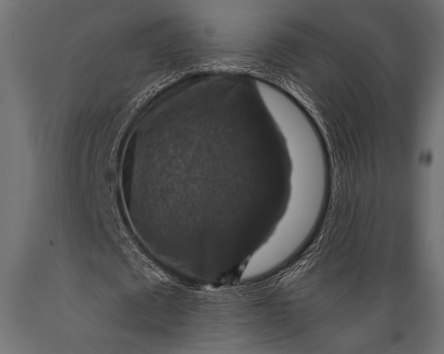 X0000088850673200706291456