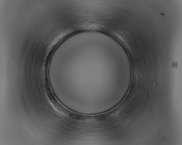 X0000088850674200706291456