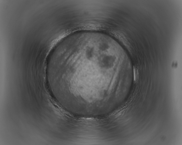 X0000088850675200706291456