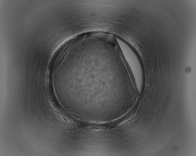 X0000088850676200706291456