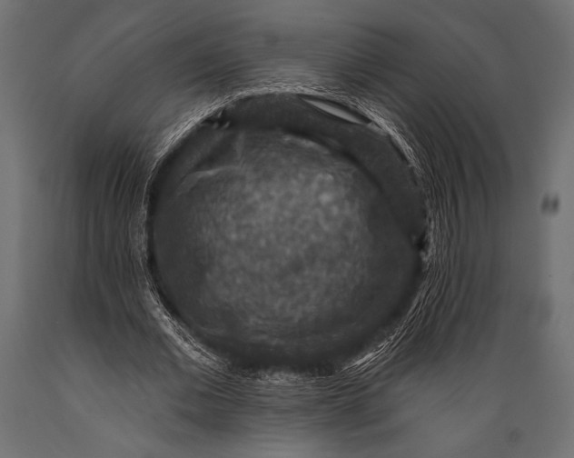 X0000088850677200706291456