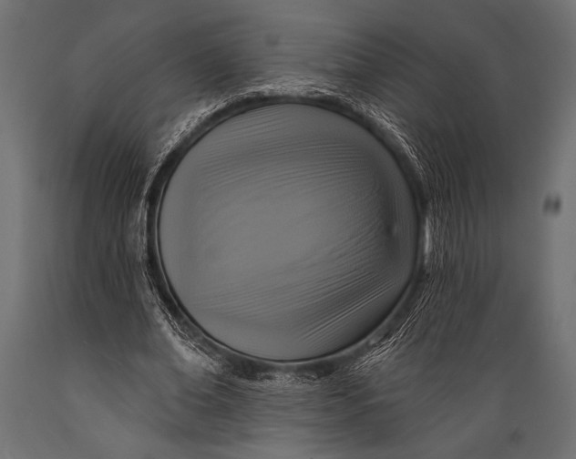 X0000088850678200706291456