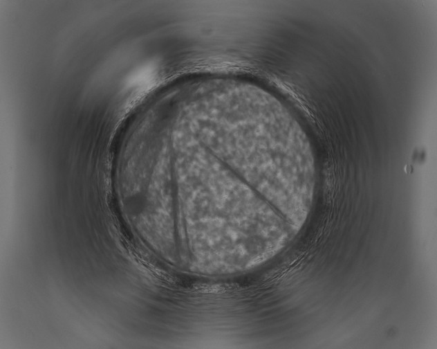 X0000088850679200706291456