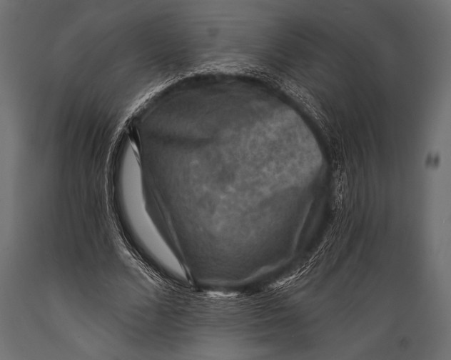 X0000088850680200706291456