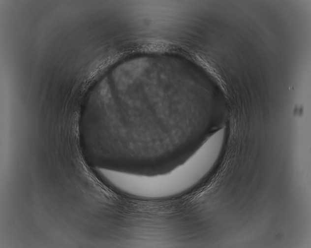 X0000088850681200706291456