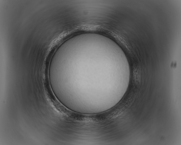 X0000088850682200706291456