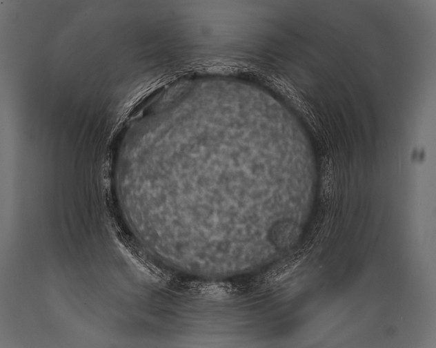 X0000088850683200706291456