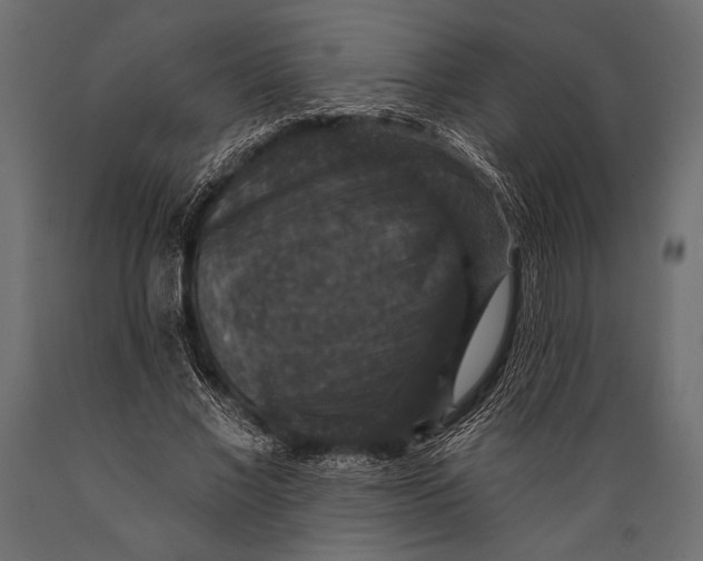 X0000088850685200706291455