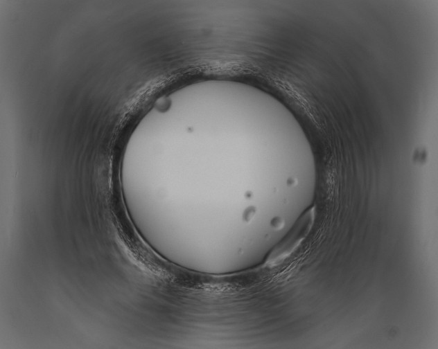 X0000088850686200706291455