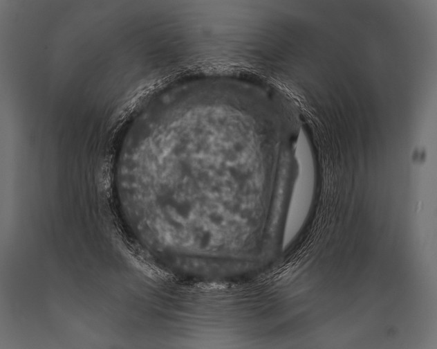 X0000088850687200706291455