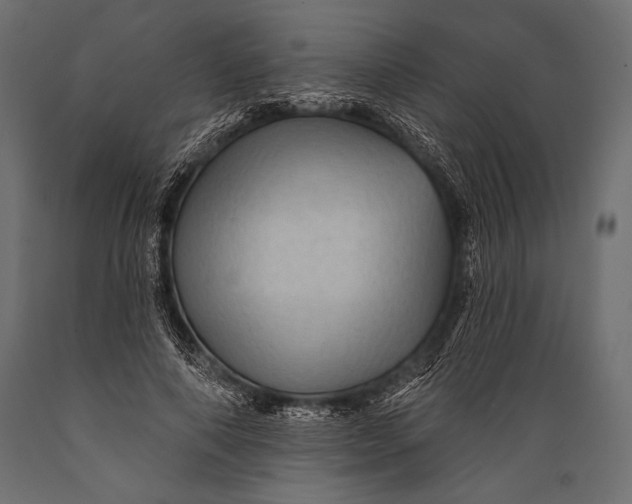 X0000088850690200706291455