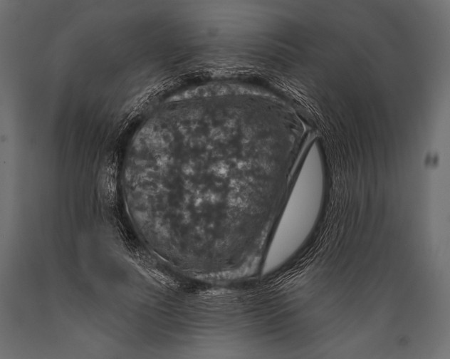 X0000088850691200706291455